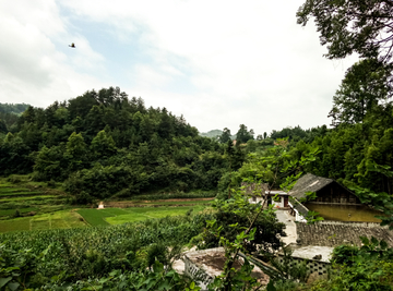 贵州农村风光