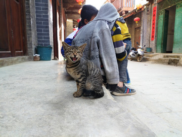 小猫和小男孩 壮乡纯种狸花猫