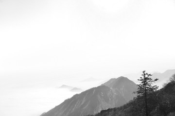 黑白风光素材 云海 雪山