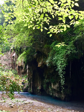 岩石植被