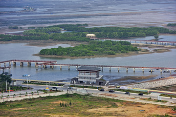 电白红树林景区