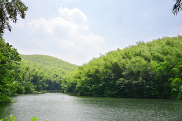 石塘竹海