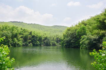 青山绿水