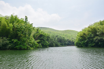 石塘竹海