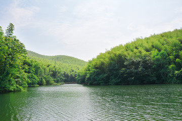 青山绿水