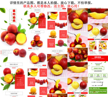 油桃詳情