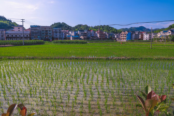 开化县马金镇塘坞乡洪村