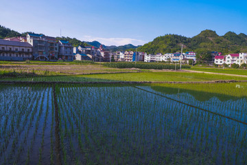 开化县马金镇塘坞乡洪村