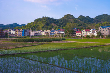 开化县马金镇塘坞乡洪村