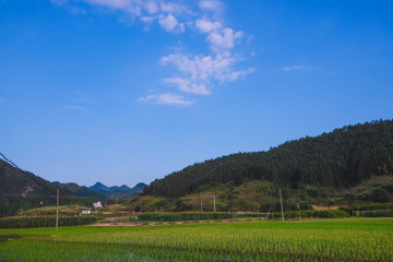 开化县马金镇塘坞乡洪村