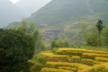 深山村庄