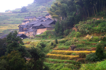 深山村庄