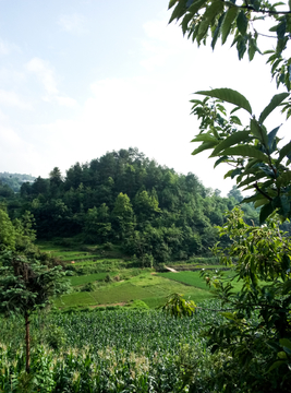 田园风光 山水风景