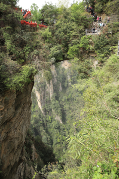 湖南张家界旅游