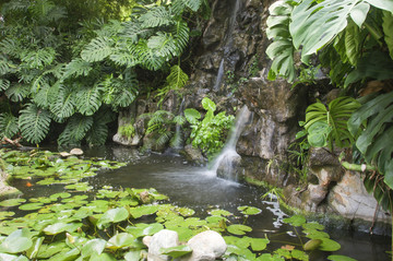 園林水池綠植
