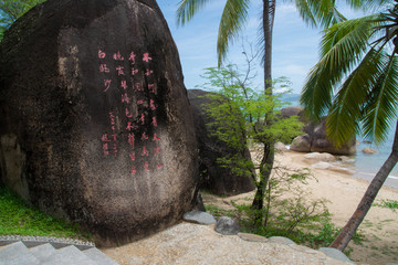 椰岛风情