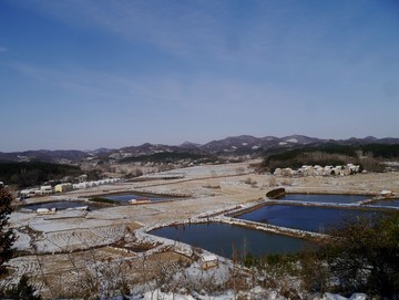 田野