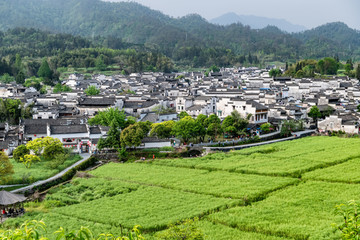 西递村古建筑群