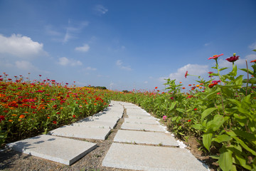 花园