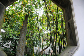中式园林花窗竹子