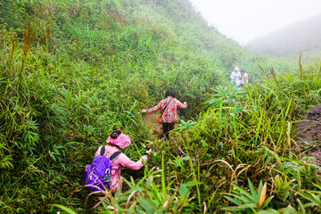 登山 鹅凰嶂