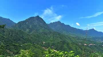 大山风景 森林植被