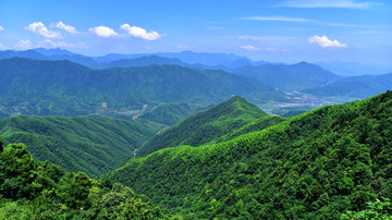 大山风景 森林植被