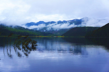 香格里拉普达措 国家公园湖水