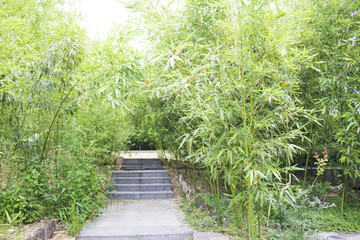 竹