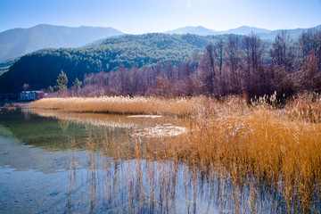 泸沽湖自然保护区