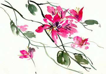 粉色的花