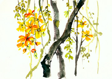 藤曼與花