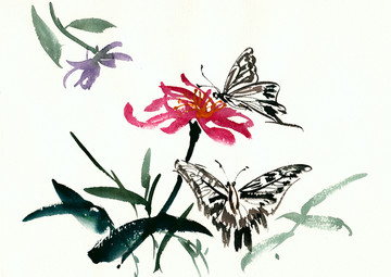 蝴蝶與花