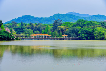 廣州麓湖公園