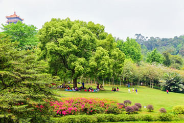 广州麓湖公园