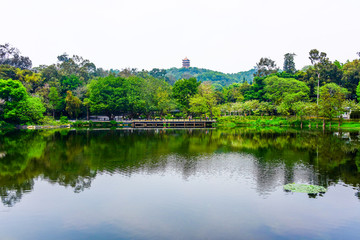 广州麓湖公园