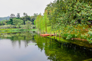 广州麓湖公园