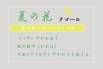 寫真日系文字排版