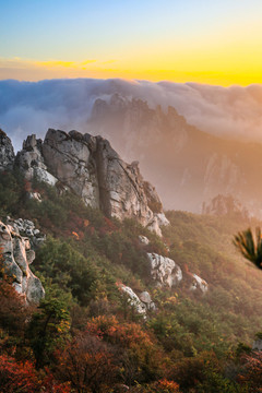 山景 秋天 崂山