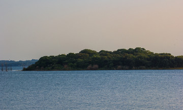 漳河鸟岛 漳河水库