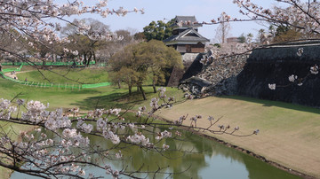 樱花熊本城