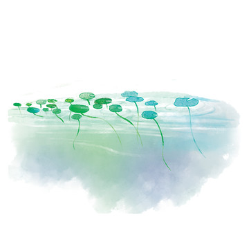 美麗 清新 水面上的浮萍