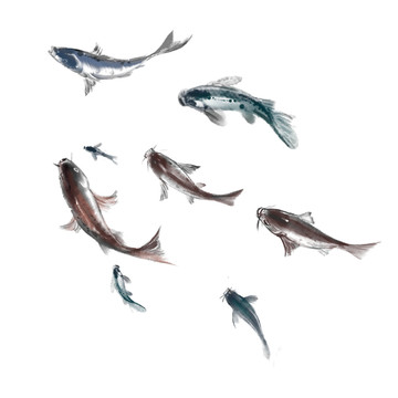 吉祥 如意 水墨 各種魚(yú)