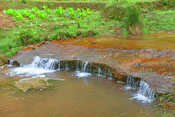 田园溪流 山里菜地 山溪水