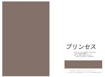 影樓寫真相冊(cè)PSD模板