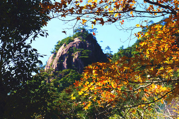 黃山