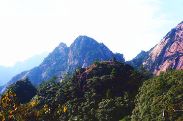 黃山