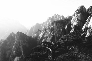 黃山奇松黑白水墨