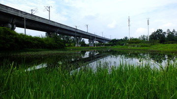 高铁旁的湿地公园