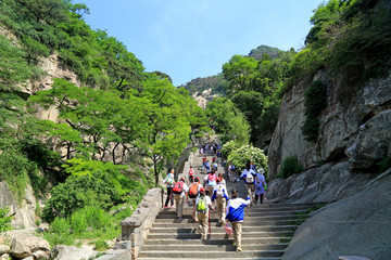 泰山风景名胜区 登山台阶